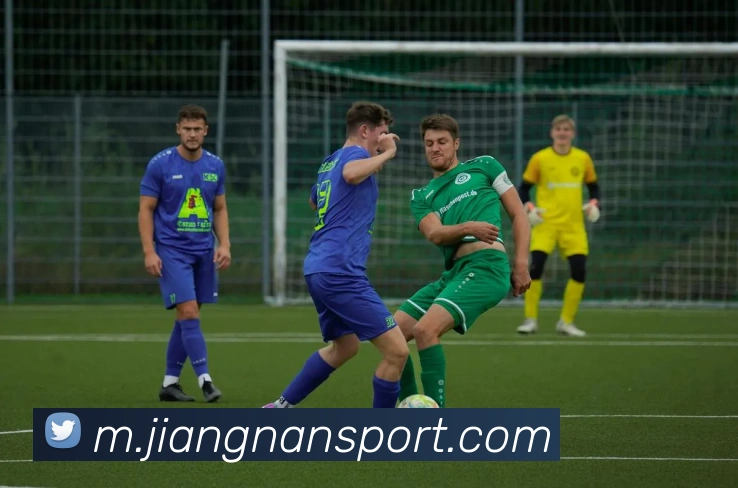 多媒体互动体验